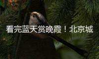 快排公司十年历程，霸屏兔 seo 的崛起与坚守