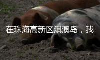 在珠海高新区淇澳岛
，我为全运种棵树