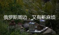 快排公司十年历程，霸屏兔 seo 的崛起与坚守