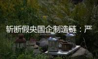 斩断假央国企制造链：严审特殊字词	，申报系统联网