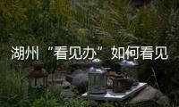 湖州“看见办”如何看见 
：20点播批评报道，21点须研究整改