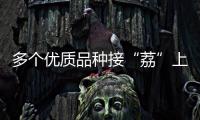 多个优质品种接“荔”上市	�，斗门今年荔枝总产量将达4500吨