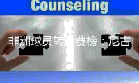 非洲球员转会费榜
�：尼古拉