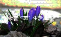解锁智“惠”生活 三星智能锁618大促惊喜连连
