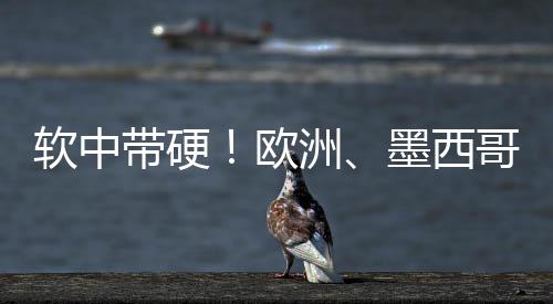 欧洲
、软中软中带硬