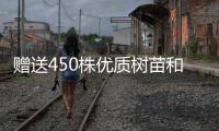 赠送450株优质树苗和花苗，珠海城管部门助力茂名美丽乡村建设
