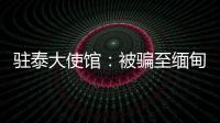 驻泰大使馆：被骗至缅甸男模特衷某已获救