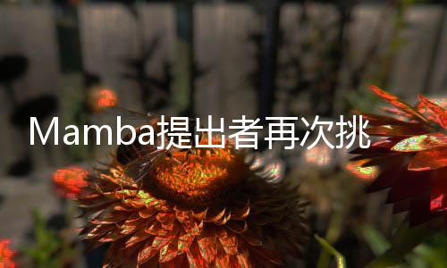 与各向同性模型相比