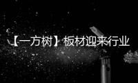 【一方树】板材迎来行业大咖	
，共谋发展新篇章