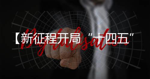 实现第一个百年奋斗目标之后