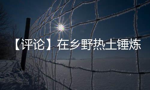 以实际行动响应号召