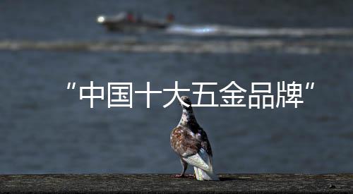 大金典中近年来