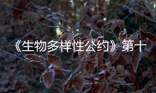 新闻发布区等12个功能区