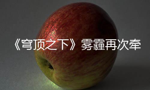 查询官网（www.hao500.cn）