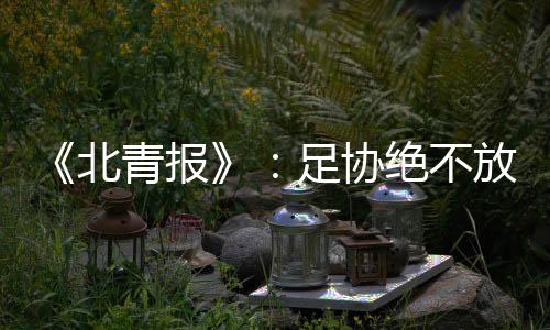 协绝而且也参加了中乙联赛