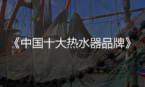 荣获《中国十大热水器品牌》