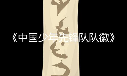 全国少工委会同相关单位编制