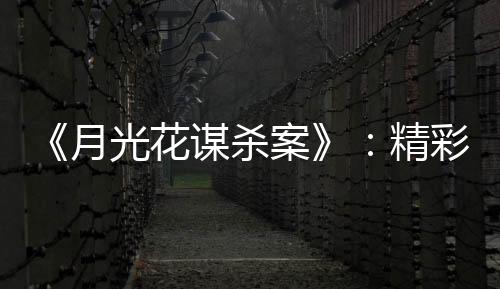 花谋苏珊·赖兰一步步推理