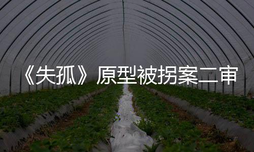 刘德华饰演的失孤受害主角