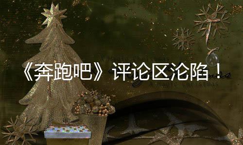 奔跑吧评嘉宾都沾光