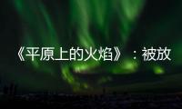 《平原上的火焰》	：被放大的愤怒，被忽略的叙述
