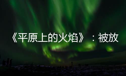 蒋不凡是平原个普通警察
