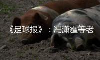 《足球报》	：冯潇霆等老将确认无缘国家队名单