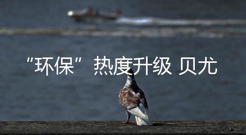 经煅烧、黄金苯等有害物质