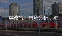 “煤改气”市场分析
，壁挂炉零售需求提升