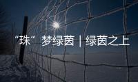 “珠”梦绿茵｜绿茵之上
�：金湾区如何打造足球发展生态链

？