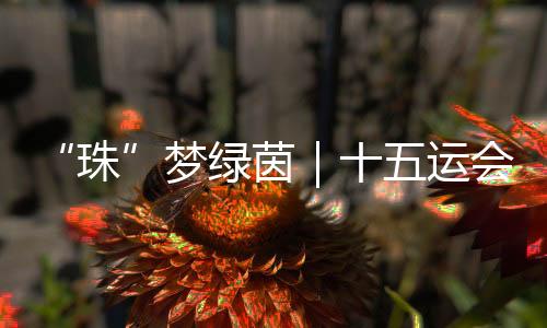 ”聊到踢球的珠缘起