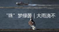 “珠”梦绿茵｜大雨浇不灭他们的热爱