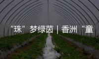 “珠”梦绿茵｜香洲“童超”，有模有样�	！首届幼儿足球趣味赛落幕