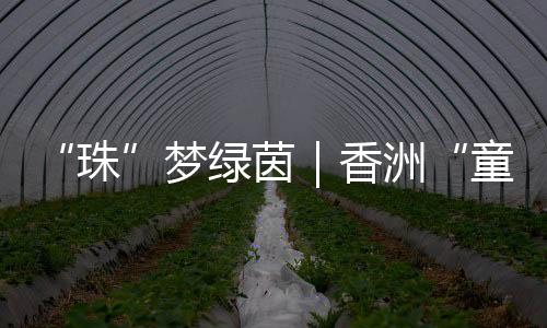 五岁的珠小球员屏住呼吸
