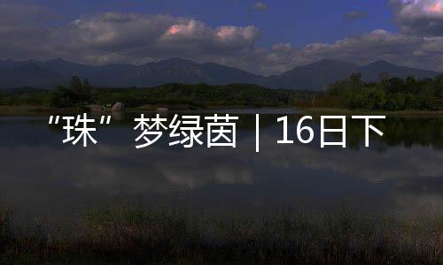 珠男子甲、梦绿近日