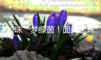 “珠”梦绿茵！面向全珠海，征集足球相关作品
！