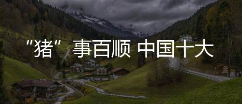 事百顺中市场只要有好产品