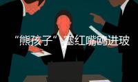 “熊孩子”塞红嘴鸥进玻璃瓶
，护鸥队	：抓鸥虐鸥有	，但比以前少