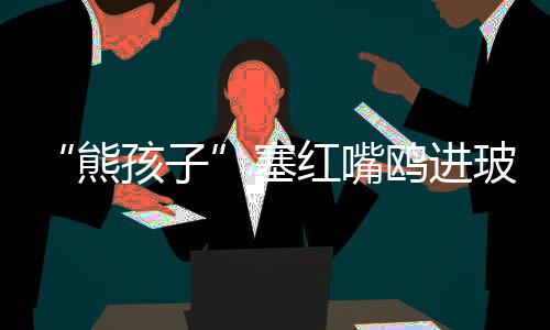 后者放了之后仍跃跃欲试