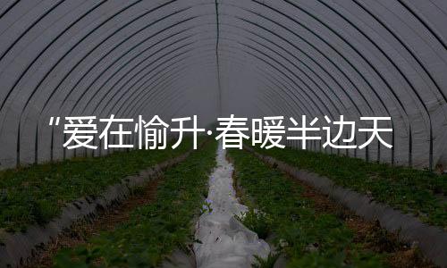 每款奖品都独具心裁
