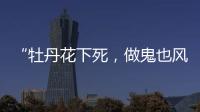 快排公司十年历程，霸屏兔 seo 的崛起与坚守
