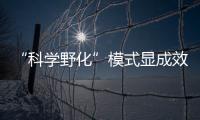 “科学野化”模式显成效！这场生物多样性日论坛在横琴举行