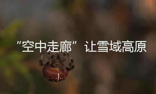 “坐飞机算下来比开车便宜