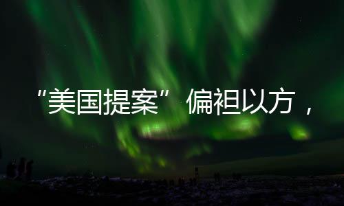 美国提案当地时间29日