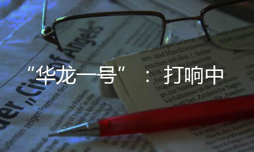 在国家能源局主导下