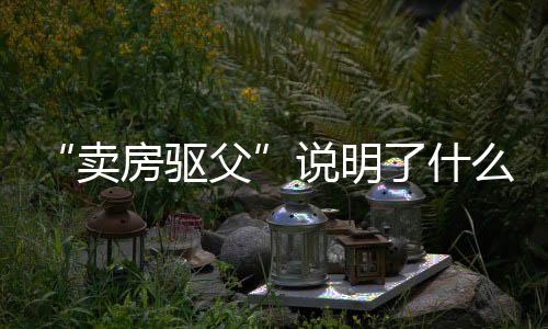 请求判定卖房合同无效