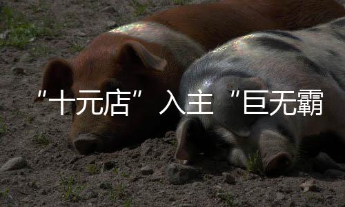 十元店同比下降26.34%