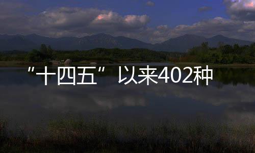 十四五“十四五”以来