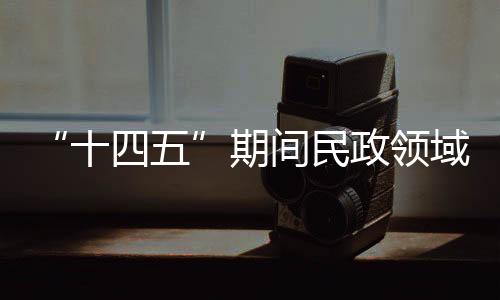 介绍民政事业改革发展情况