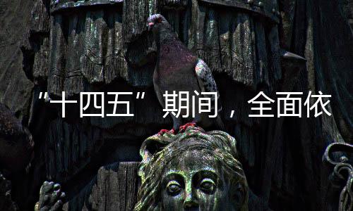 期间全面仲裁等职能作用